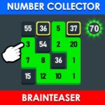 Cantitate colector: Brainteaser